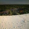 12/12/2004 : Dune du Pyla 26
