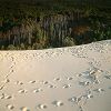 12/12/2004 : Dune du Pyla 27