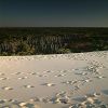 12/12/2004 : Dune du Pyla 28