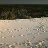 12/12/2004 : Dune du Pyla 29