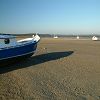 21/11/2005 : Claouey et Cap Ferret 5