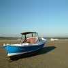 21/11/2005 : Claouey et Cap Ferret 7