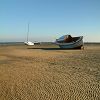 21/11/2005 : Claouey et Cap Ferret 9