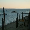 21/11/2005 : Claouey et Cap Ferret 11