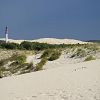 31/08/2006 : Dune et Cap Ferret 7