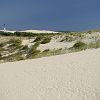 31/08/2006 : Dune et Cap Ferret 12