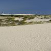31/08/2006 : Dune et Cap Ferret 14