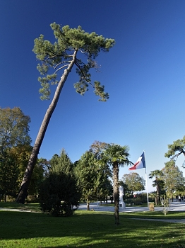 2006_11_05_Arcachon_et_Parc_Mauresque_015_N__CNX-D