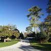 05/11/2006 : Parc Mauresque 5