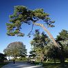 05/11/2006 : Parc Mauresque 6