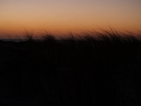 24/11/2007 : Cap Ferret 25