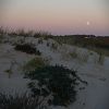 24/11/2007 : Cap Ferret 18