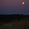 24/11/2007 : Cap Ferret 23