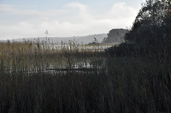 2009_10_25_Lac_De_Cazaux_007_D90_DL1__CNX-D