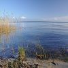 25/10/2009 : Lac de Cazaux 3