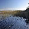 25/10/2009 : Lac de Cazaux 4