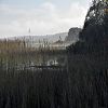 25/10/2009 : Lac de Cazaux 5