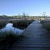 25/10/2009 : Lac de Cazaux 6