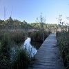 25/10/2009 : Lac de Cazaux 7