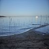 25/10/2009 : Lac de Cazaux 13