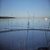 25/10/2009 : Lac de Cazaux 14