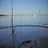 25/10/2009 : Lac de Cazaux 15