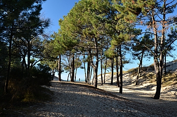 2011_02_06_Dune_Pyla_Sud_001_D7000--10-24__VNX2_A4_C3_S5_O2v2