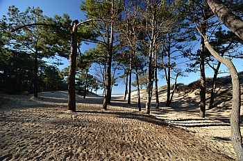 2011_02_06_Dune_Pyla_Sud_005_D7000--10-24__VNX2_A7_O0v5