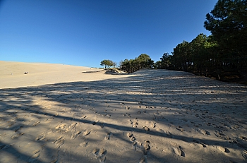 2011_02_06_Dune_Pyla_Sud_010_D7000--10-24__VNX2_A4_C6_Do26_S7