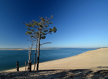 2011_02_06_Dune_Pyla_Sud_018_D7000--10-24__VNX2_A6_L-6_Do10_S4_R_O-0v7