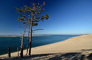 2011_02_06_Dune_Pyla_Sud_019_D7000--10-24__VNX2_A6_L-8_Do11_O-0v4