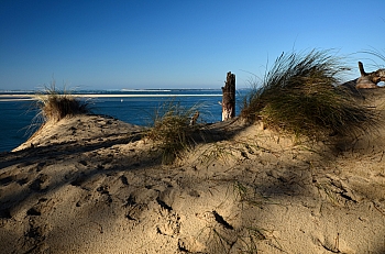 2011_02_06_Dune_Pyla_Sud_034_D7000--10-24__VNX2_A3_C5_L15_S10