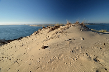 2011_02_06_Dune_Pyla_Sud_041_D7000--10-24__VNX2_A7_L5_O-0v3