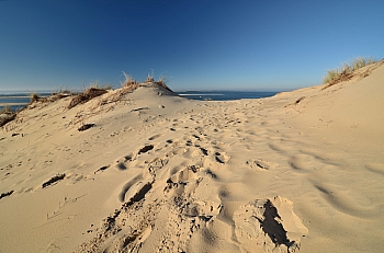 2011_02_06_Dune_Pyla_Sud_043_D7000--10-24__VNX2_A7_C1_L11_Do38_S4_O-0v4