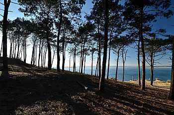 2011_02_06_Dune_Pyla_Sud_055_D7000--10-24__VNX2_A5_Do13_S2_O-0v3