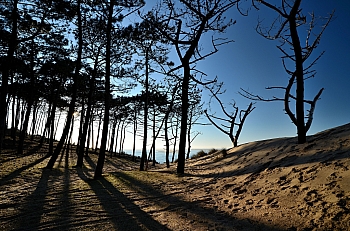 2011_02_06_Dune_Pyla_Sud_061_D7000--10-24__VNX2_A5_C14_Do39_S8_O-1v6