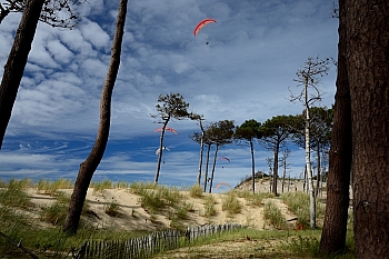 2014_05_29_Petit_Nice_Parapentes_056_D610--28-300__VNX2