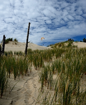 2014_05_29_Petit_Nice_Parapentes_077_D610--28-300__VNX2