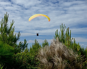 2014_05_29_Petit_Nice_Parapentes_117_D610--28-300__VNX2