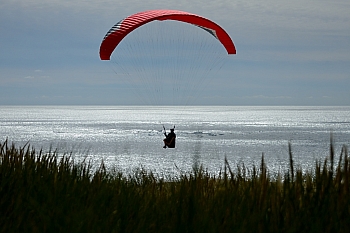 2014_05_29_Petit_Nice_Parapentes_137_D610--28-300__VNX2