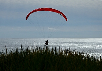 2014_05_29_Petit_Nice_Parapentes_138_D610--28-300__VNX2