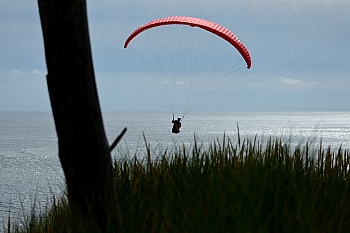 2014_05_29_Petit_Nice_Parapentes_139_D610--28-300__VNX2