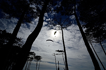 2014_05_29_Petit_Nice_Parapentes_189_D7000--10-24__VNX2