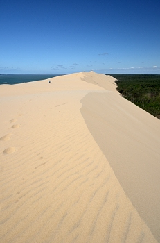 2015_05_21_Dune_Du_Pyla_023_D7000--10-24__CNX-D