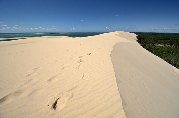 2015_05_21_Dune_Du_Pyla_036_D7000--10-24__CNX-D