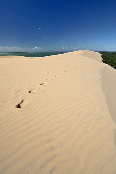 2015_05_21_Dune_Du_Pyla_038_D7000--10-24__CNX-D