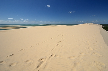 2015_05_21_Dune_Du_Pyla_043_D7000--10-24__CNX-D