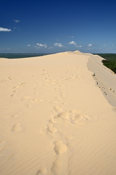 2015_05_21_Dune_Du_Pyla_047_D7000--10-24__CNX-D