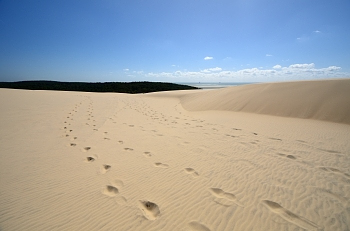 2015_05_21_Dune_Du_Pyla_055_D7000--10-24__CNX-D