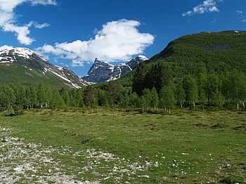 2008_06_14_Hellesylt_A_Geiranger_041_N_50__CNX-D